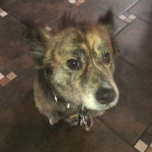 Meet your Posher, Adriana